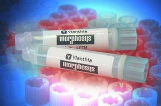 MOR106, ein Wirkstoff aus der Ylanthia-Antikörperplattform von Morphosys, hat in klinischen Studien enttäuschende Ergebnisse gebracht. Bild und Copyright: Morphosys.