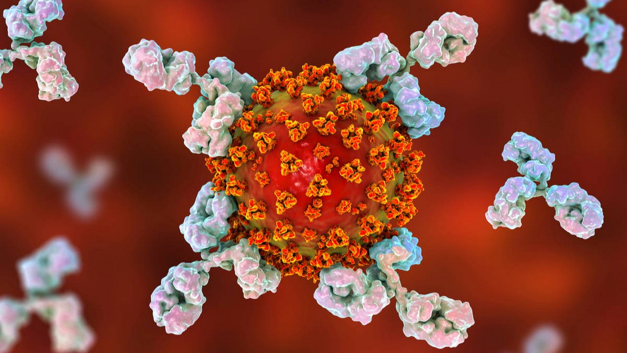 Impfung gegen COVID-19. Bild und Copyright: Nicolas Economou / shutterstock.com.