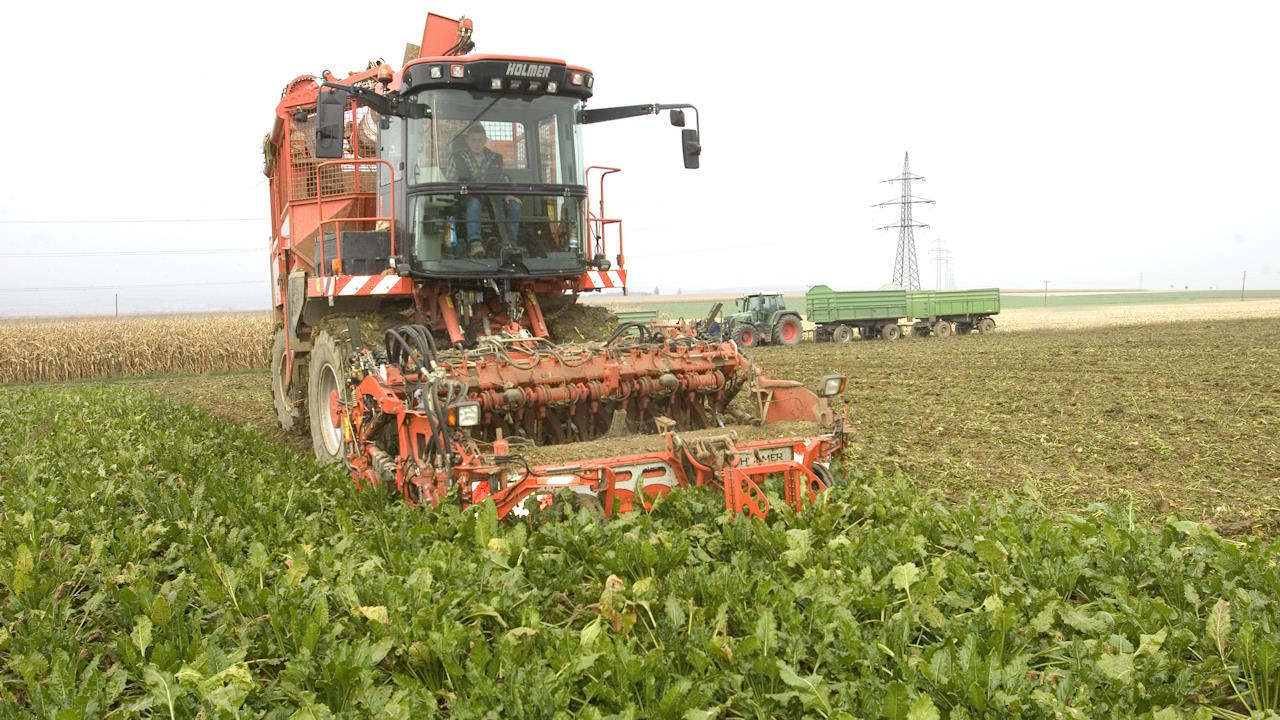 Der Landwirtschafts-Konzern Agrana erwartet einen deutlichen Anstieg beim Konzern-EBIT. Bild und Copyright: Agrana.