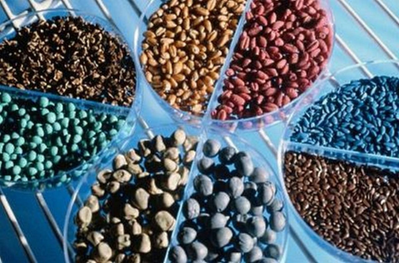 Bayer übernimmt nach einem Verhandlungsmarathon den US-Saatguthersteller Monsanto für 66 Milliarden Dollar. Bild und Copyright: Bayer.