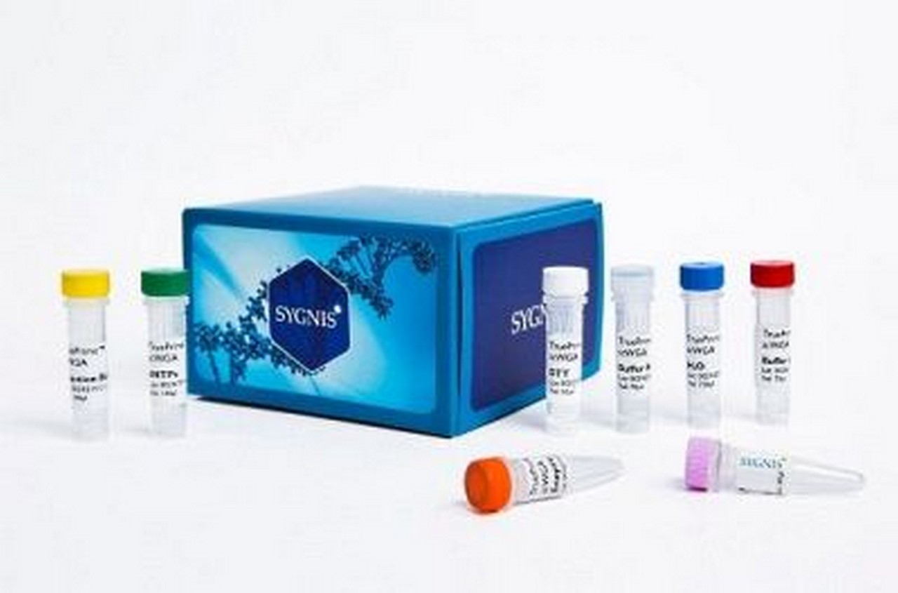 Das deutsch-spanische Biotechunternehmen Sygnis will mit den Geldern aus einer Kapitalerhöhung unter anderem neue Labor-Testkits entwickeln. Bild und Copyright: Sygnis.