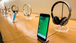 Bild und Copyright: Michael Gordon / shutterstock.com.