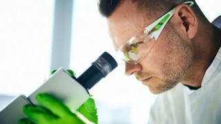BioNTech und BMS melden neue Phase-2-Daten zu Pumitamig bei Lungenkrebs. Bild und Copyright: BioNTech.