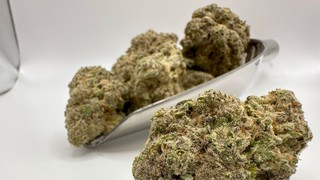 Im Medizinmarkt hat es für Cannabis jüngst eine Reihe von Erleichterungen gegeben. Bild und Copyright: Cantourage.