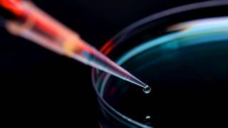 Die steigende Dividende für 2018 ist nur ein Trostpflaster für Covestro-Aktionäre, die sich 2019 auf einen deutlich fallenden operativen Gewinn einstellen müssen. Bild und Copyright: Covestro.