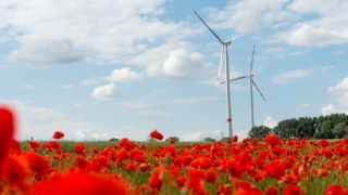 Bild und Copyright: Tobias Haase / Green City.