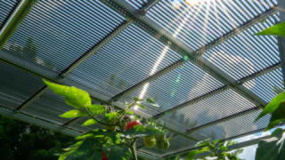 TubeSolars patentierte Röhrentechnologie soll beispielsweise oberhalb von Agrarflächen zum Einsatz kommen. Bild und Copyright: TubeSolar.