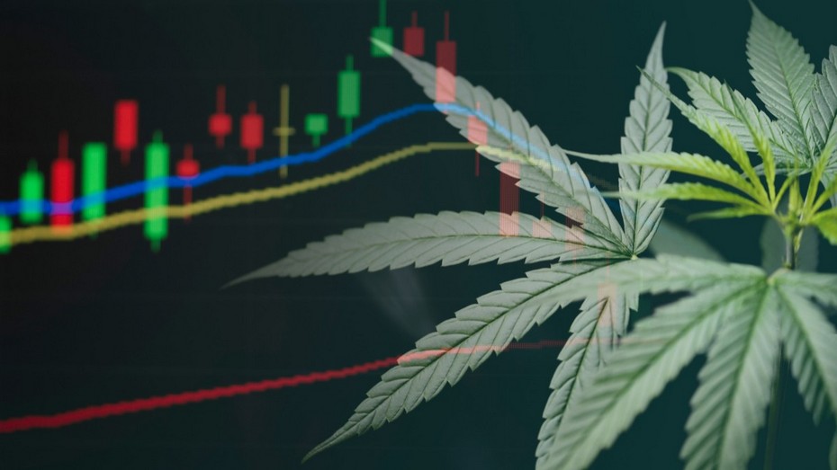 Canify produziert medizinisches Cannabis und plant für Ende 2025 einen möglichen Börsengang. Bild und Copyright: Poring Studio / shutterstock.com.